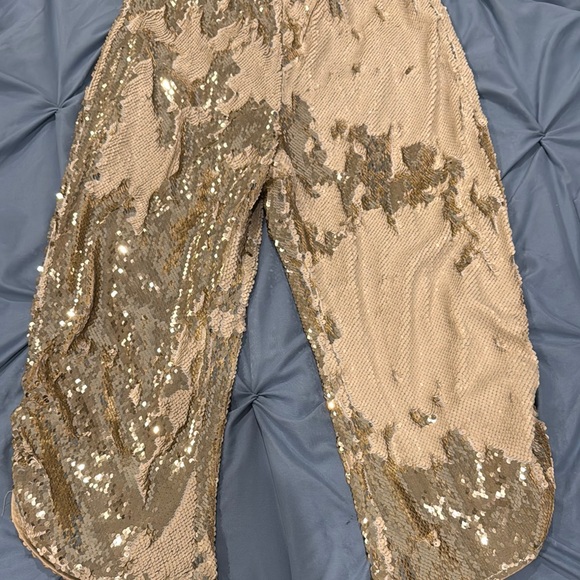Sequin Embellished Pants - Picture 1 of 4